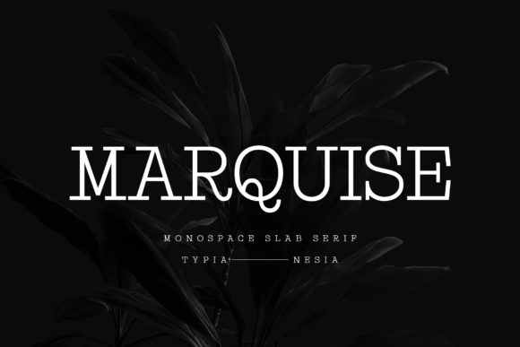 Marquise: A Modern Slab Serif for Timeless Branding